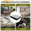 Air Mattress, 16" Raised Full Size Self Inflatable Blow Up Mattress with Built in Pump, Thick Comfort Air Bed for Camping, Guests & Home,