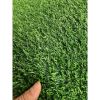 6ft x 10ftIdeal for Backyard, Garden, Lawn Landscape, Patio